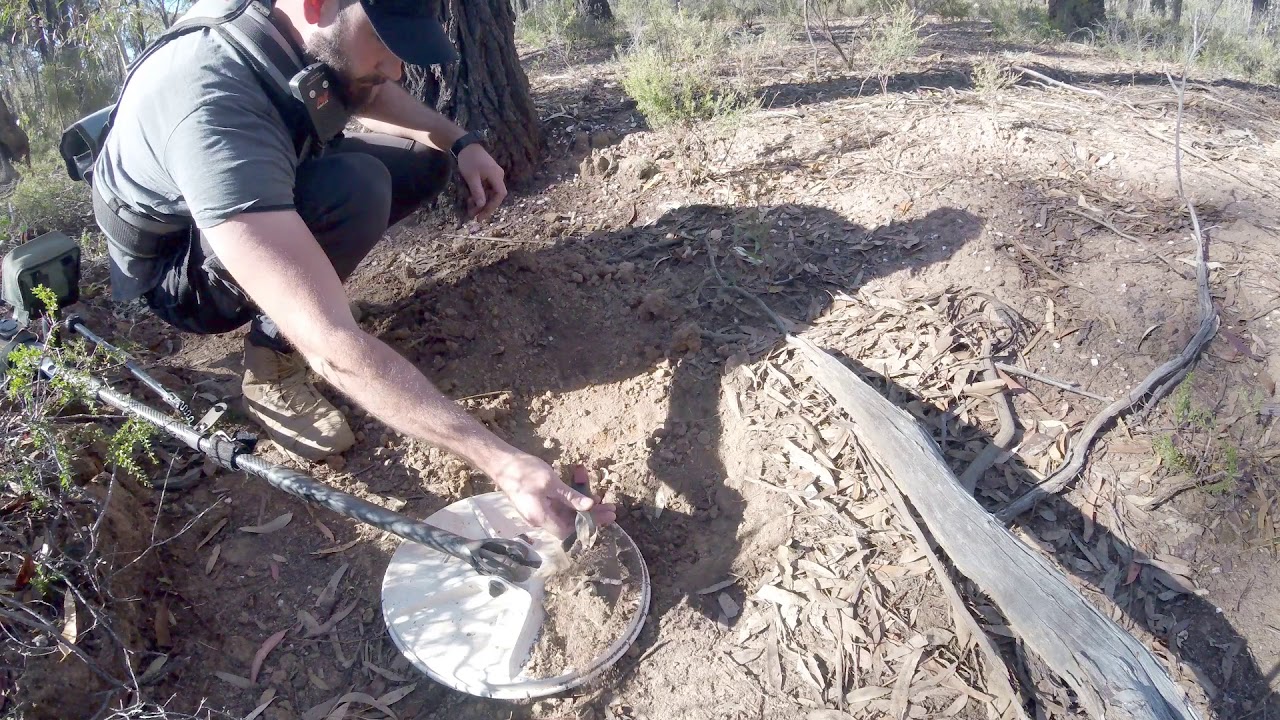 Amazing Specimen Gold + Gold Nuggets | Minelab GPZ7000 | Golden Triangle