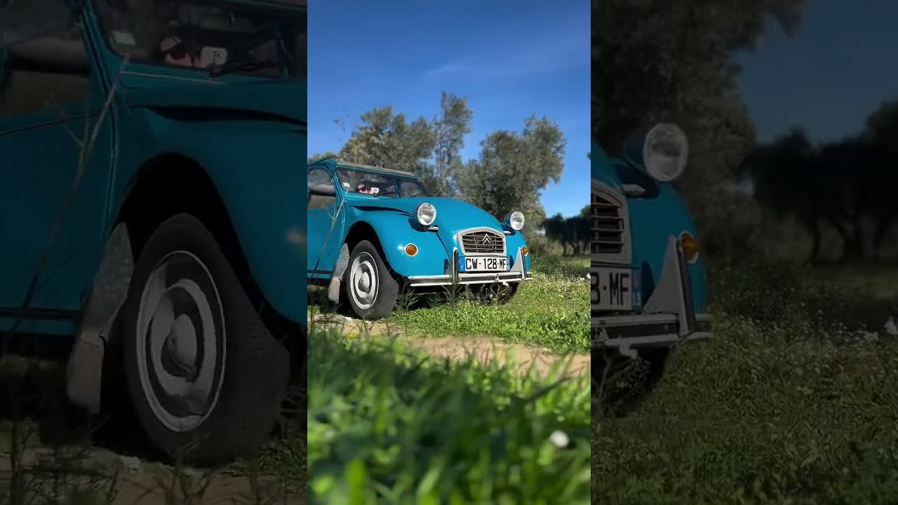 🚗 Escapade proven&ccedil;ale en 2CV : l'aventure qui r&eacute;veille vos sens ! 🌿