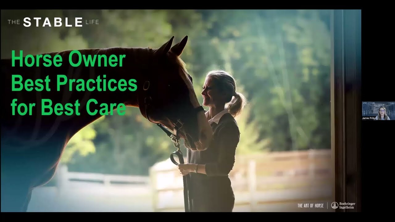Getting the Best Care in a Time of Equine Veterinary Shortage