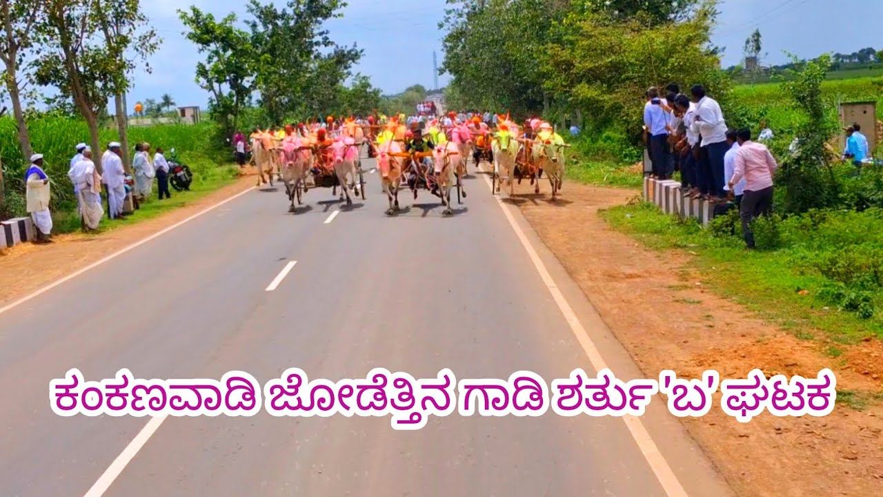 ಕಂಕಣವಾಡಿ ಜೋಡೆತ್ತಿನ ಗಾಡಿ ಶರ್ತು 'ಬ' ಘಟಕ 4/9/2025