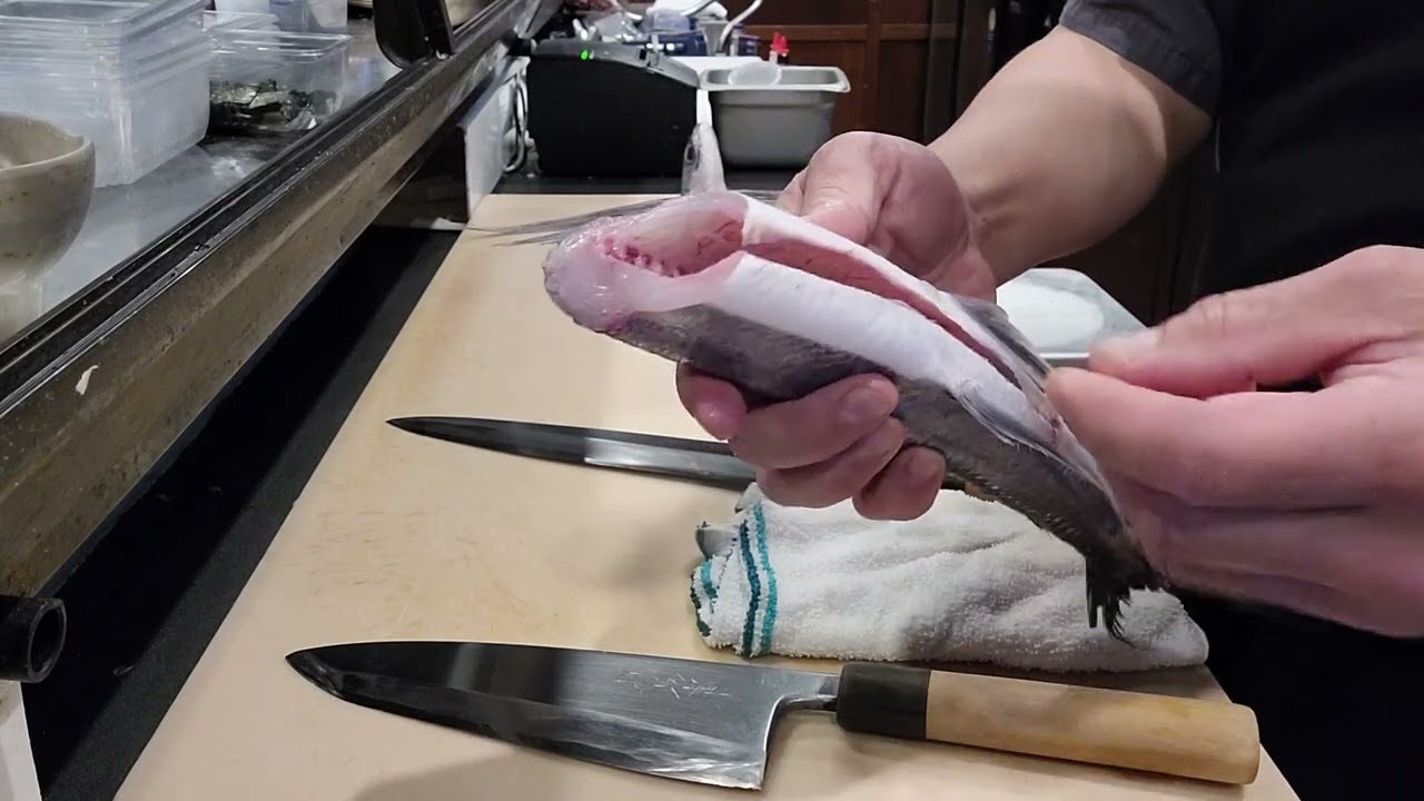 cách cắt fillet cá Chuồn dừng cho Sushi 🍣và Sashimi . how to fillet Flying 🪽 🐠 fish .