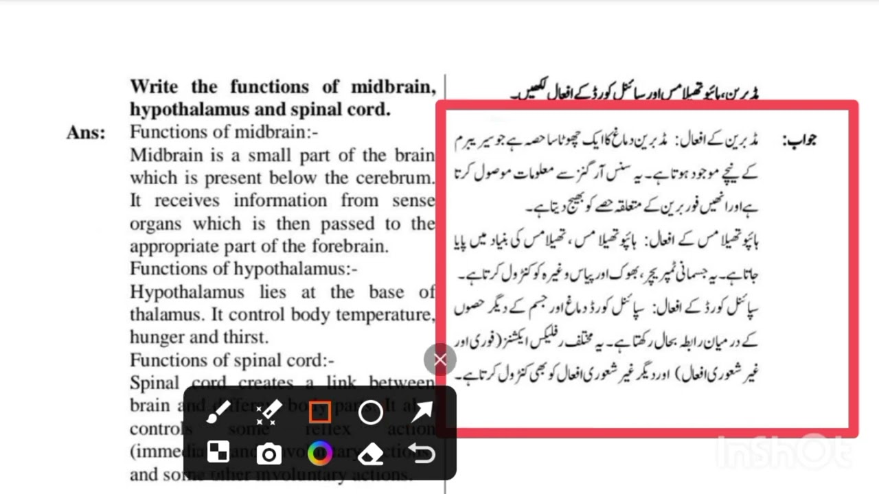 8th class paper science 