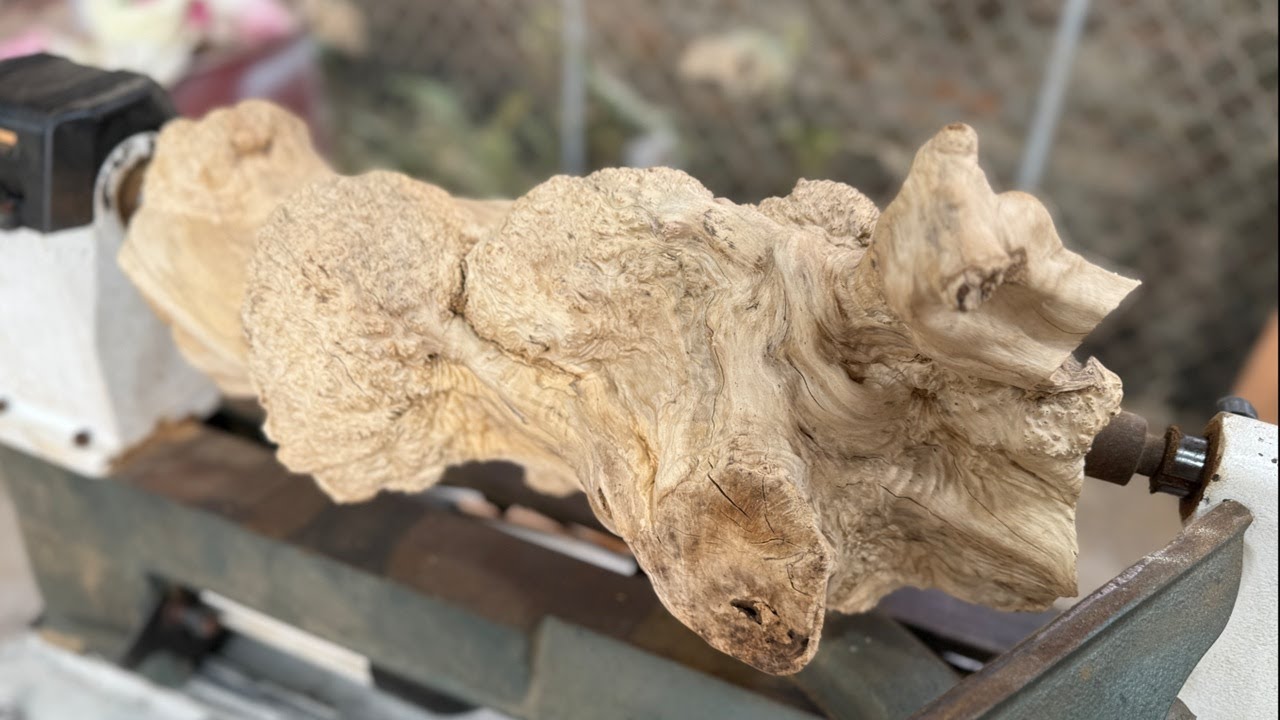 Essentials To Transform Coffee Tree Trunks Into Unique Artworks // Woodworking