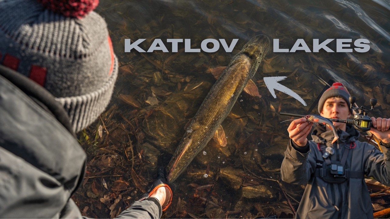 VELK&Eacute; &Scaron;TIKY🐊 na BIGBAIT - Katlov Lakes v&yacute;prava snů ?😶&zwj;🌫️
