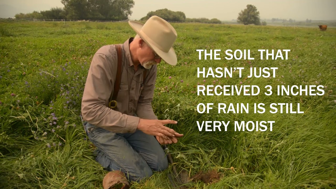 How to do a Soil Infiltration Test: Regenerative Agriculture at Alderspring Ranch