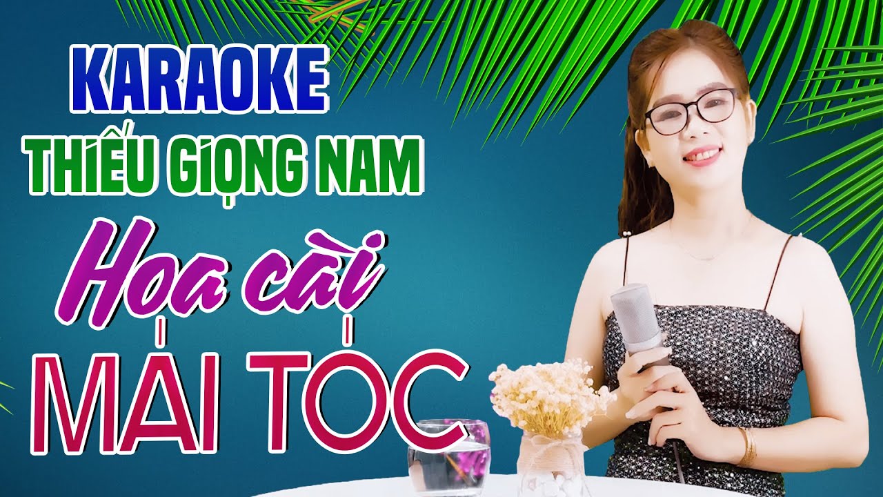 Karaoke Song Ca | HOA CÀI MÁI TÓC - Thiếu Giọng Nam | Song Ca Với Lê Liễu