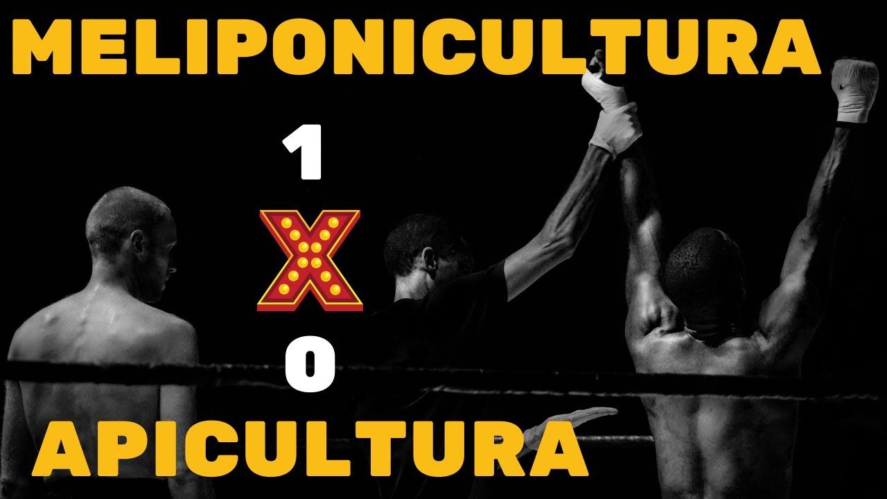 APICULTURA ou MELIPONICULTURA, qual &eacute; melhor? | Apislogia