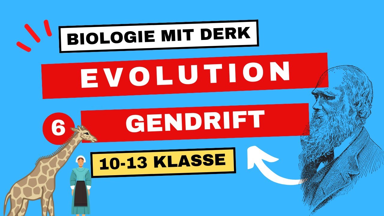 Evolution | 6 | Gendrift (genetic drift) | 10 - 13 Klasse