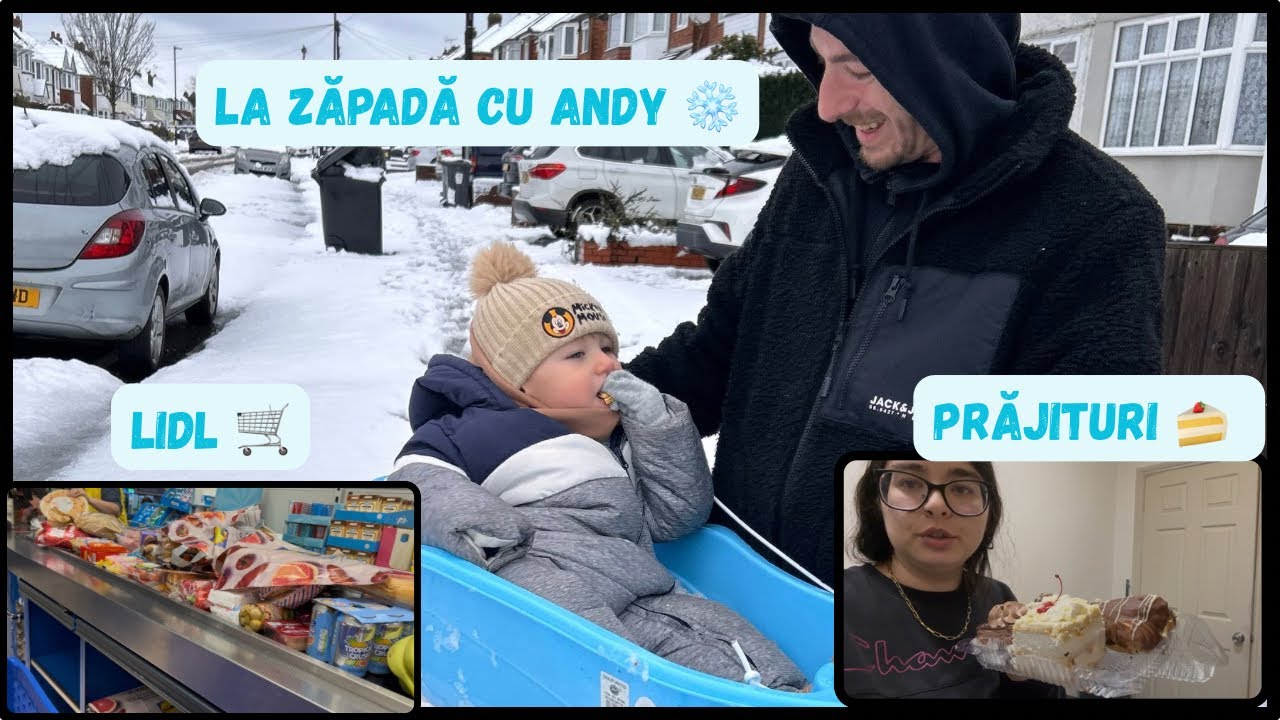 NINGE în Birmingham ☃️ Andy se joacă cu zăpadă ❄️+ Lidl 🛒 + prăjituri românești 🍰  