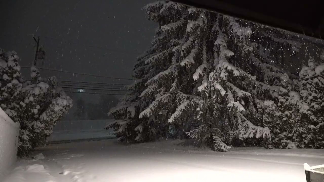 Snow storm - February 22, 2026 - Gulph Mills, PA - 2