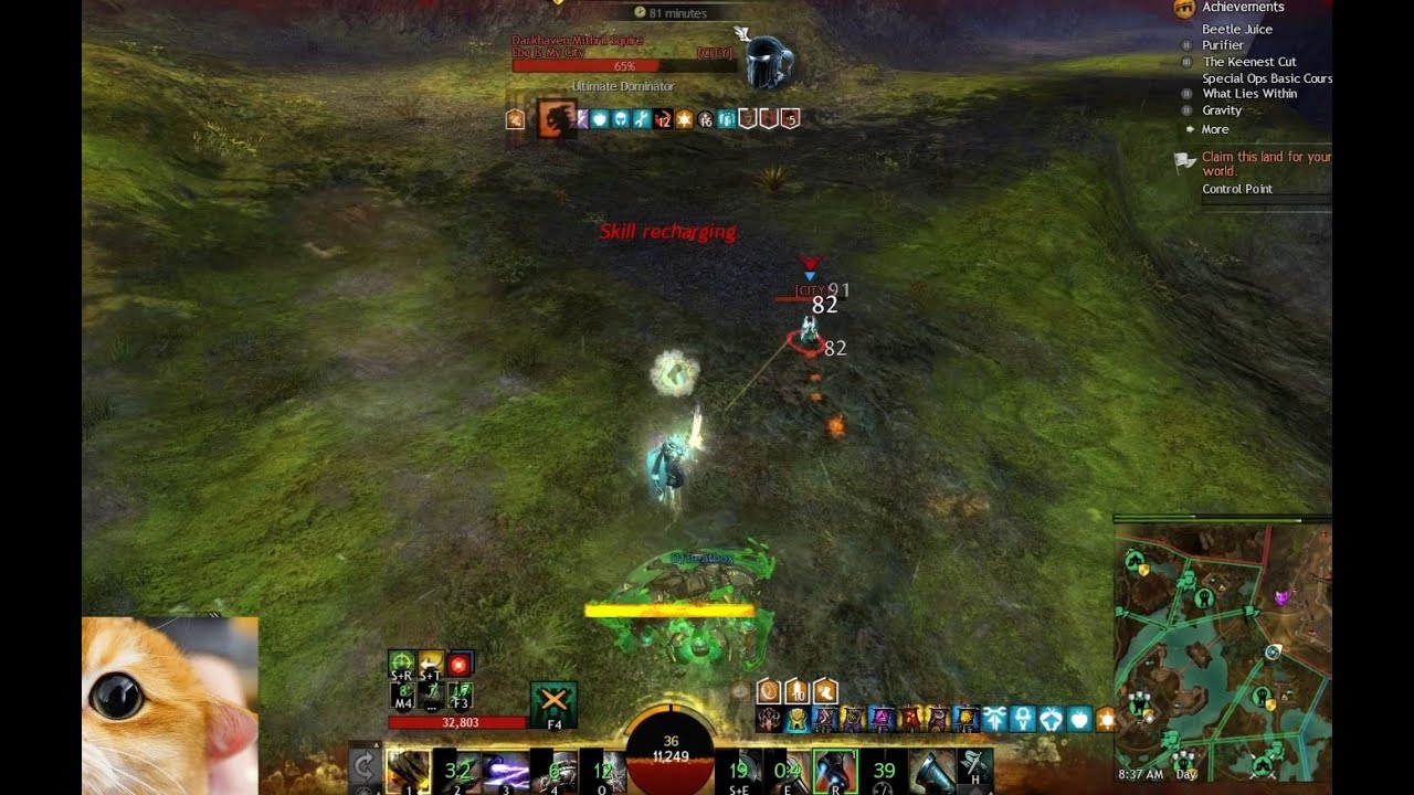GW2 | How to DEFEAT a ( skilled ) Daredevil Player - Beginner's Guide 2023