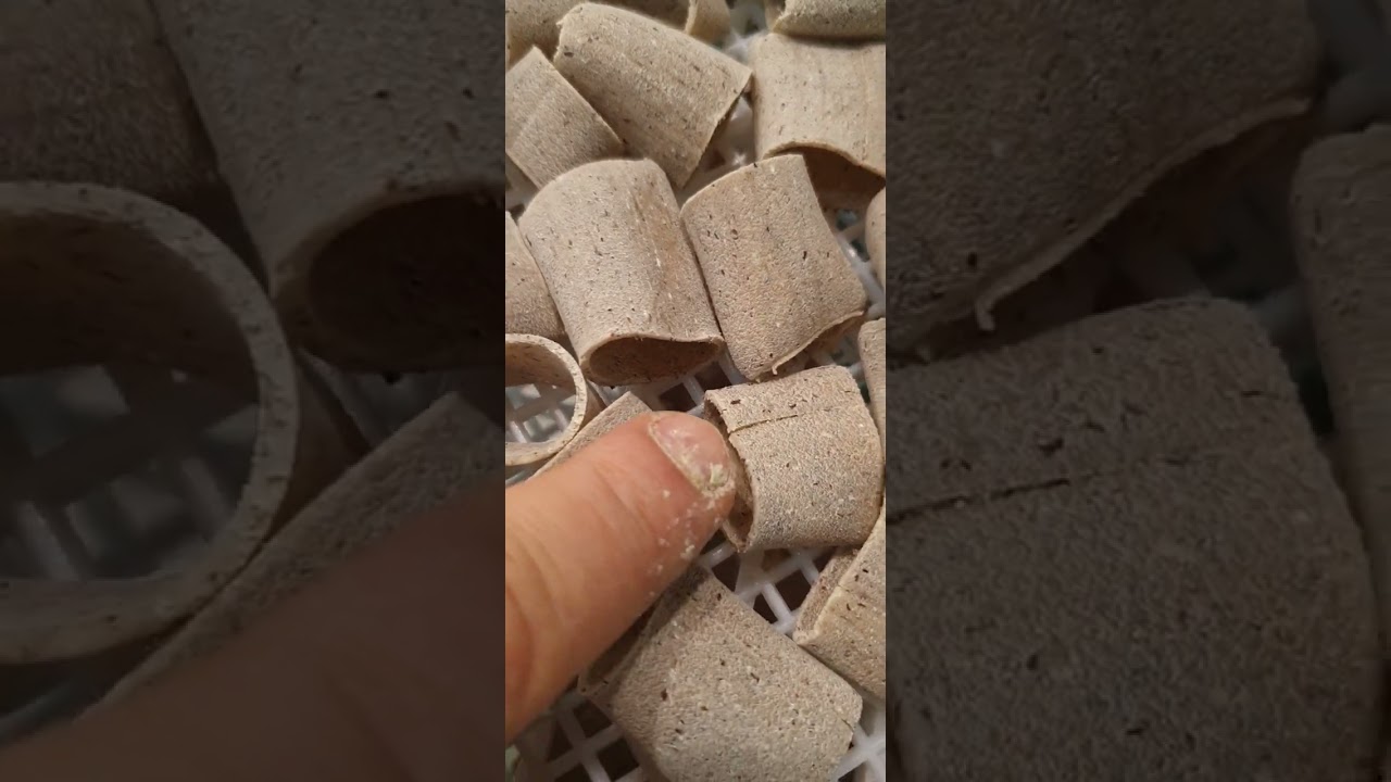 Pasta trafilata perché si rompe?