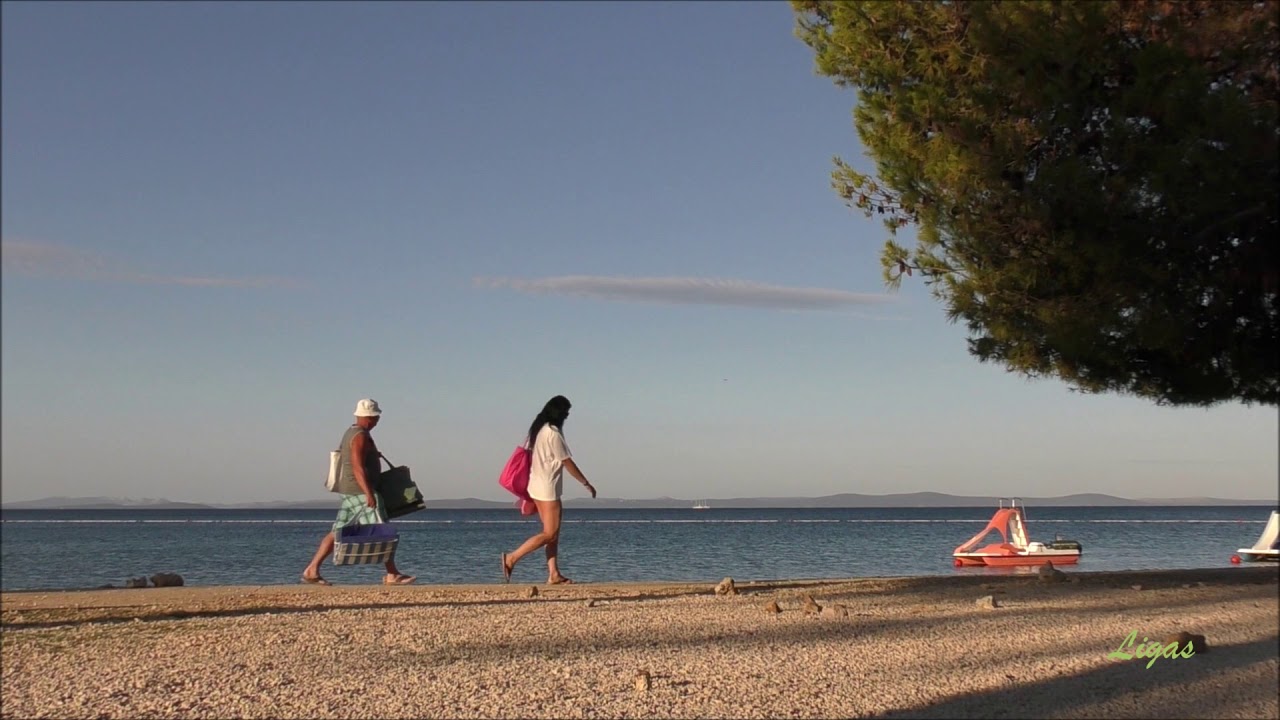Nature on the Island of Vir. Croatia.