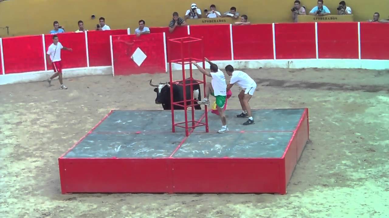 TORO RATON EN RICLA(zaragoza)part.2