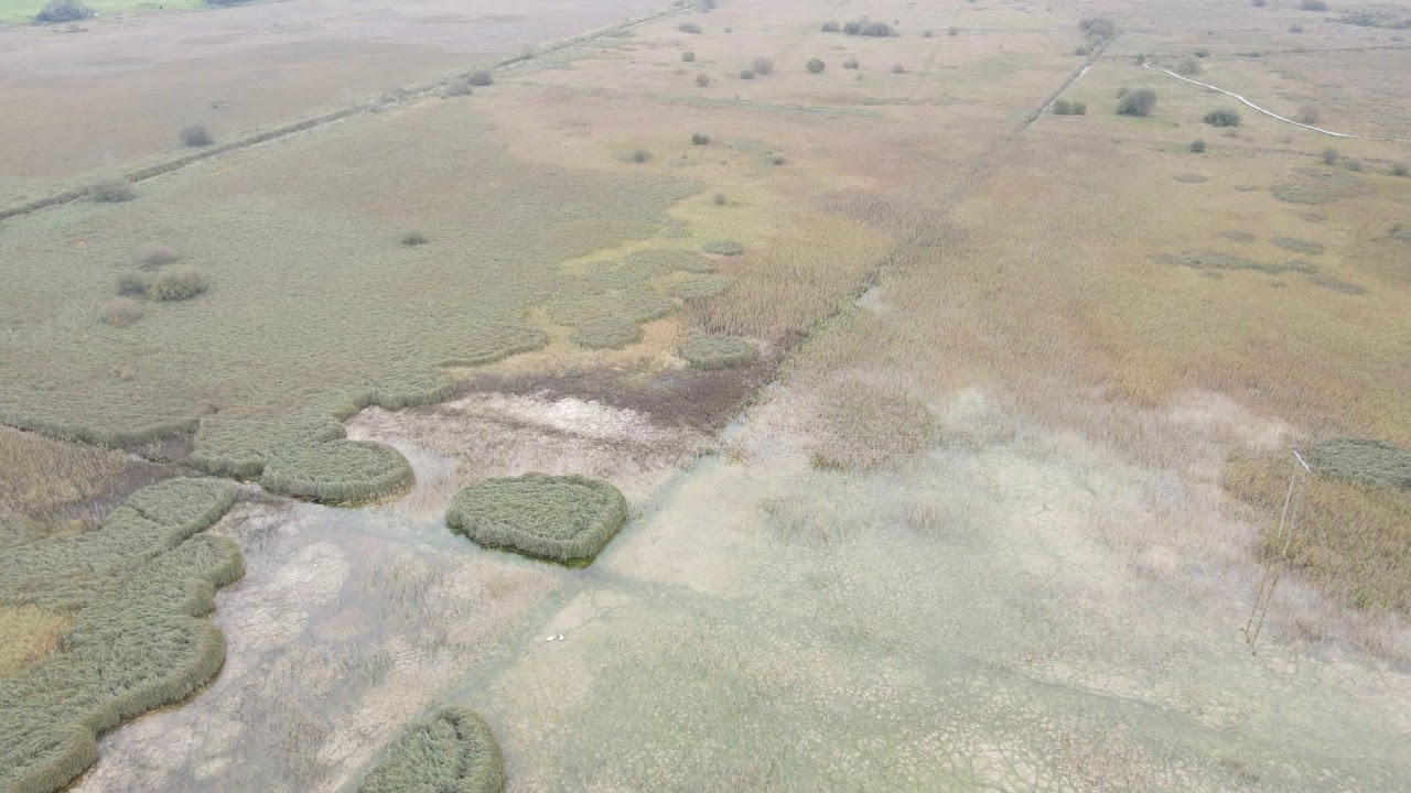 Pollardstown Fen Oct 2020