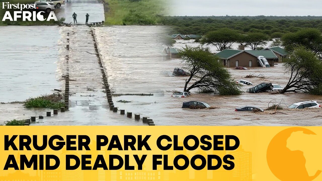 South Africa Floods: Deaths Rise, Red Alert Issued, Kruger Park Shut  | Firstpost Africa | N18G