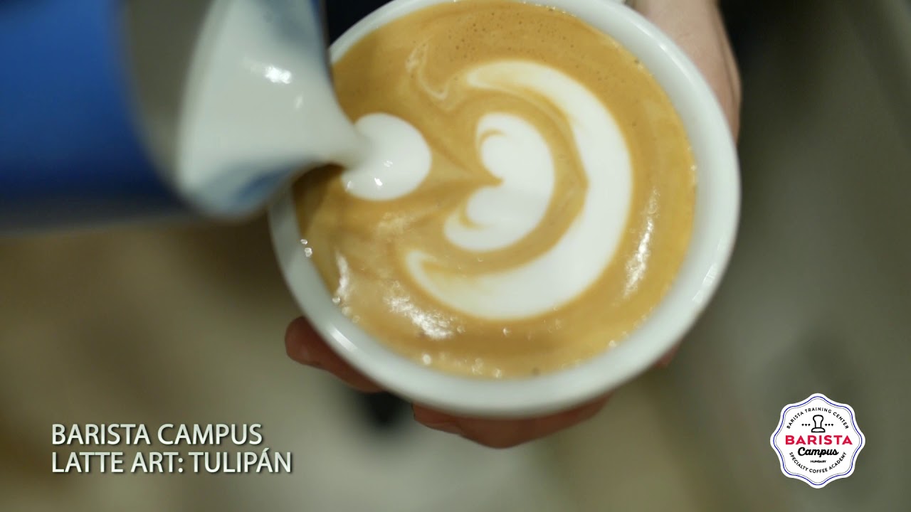 Barista Tanfolyam - Latte Art: A Tulipán