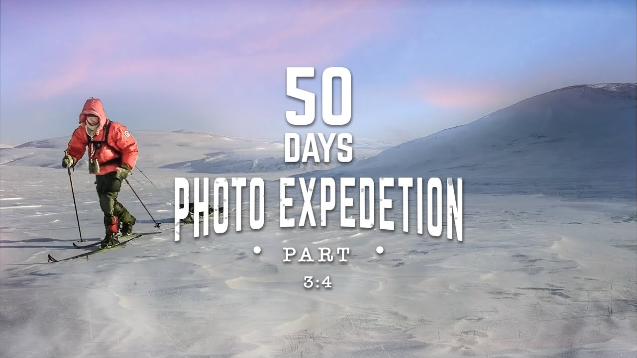 50 DAYS PHOTO EXPEDITION 3:4 - White wolves on Ellesmere Island, Canada