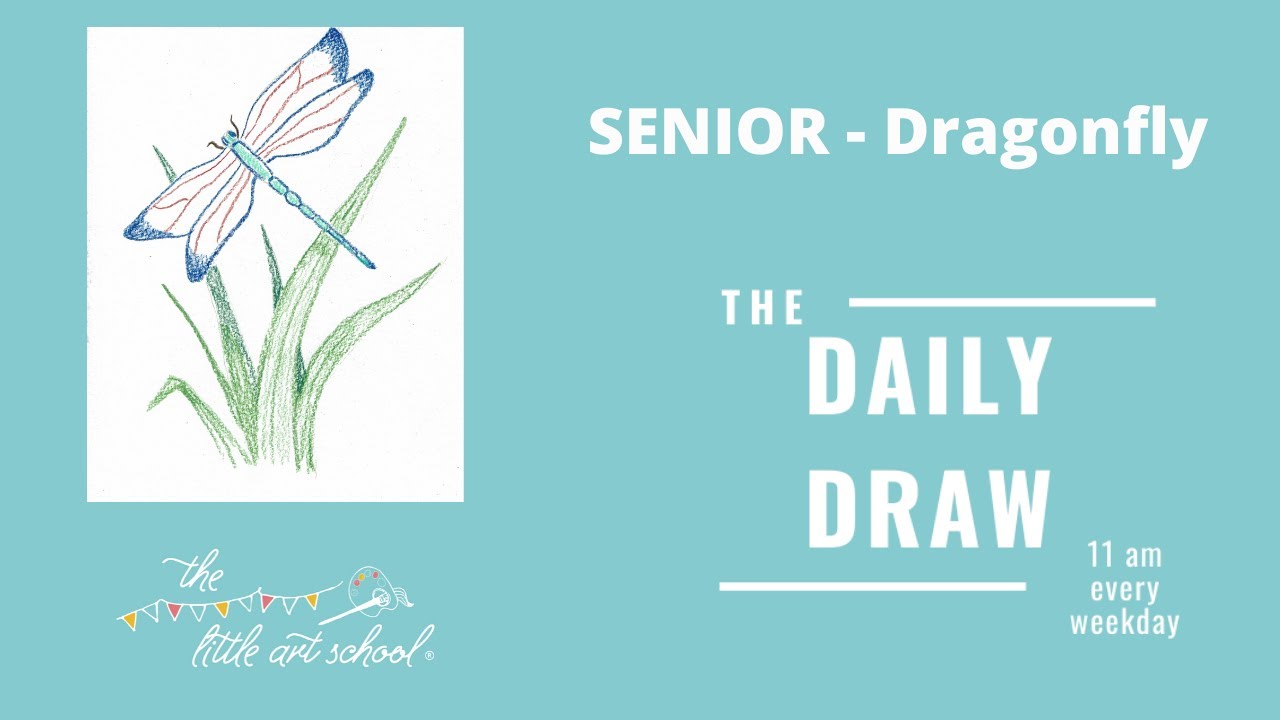 Mon 30th Mar - Senior Daily Draw with the Little Art School - Dragonfly