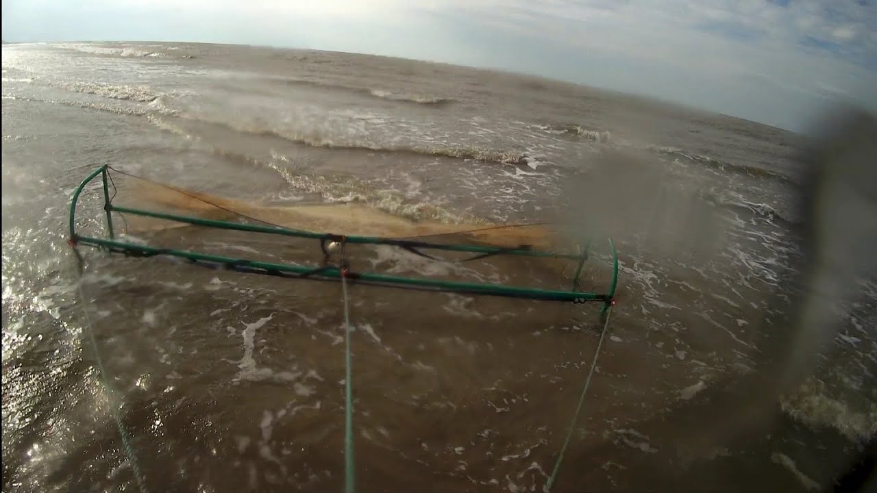 GREAT AFTERNOON ON THE SHORE TRAWLING FOR SHRIMPS WITH MY 10FT BEAM TRAWL.