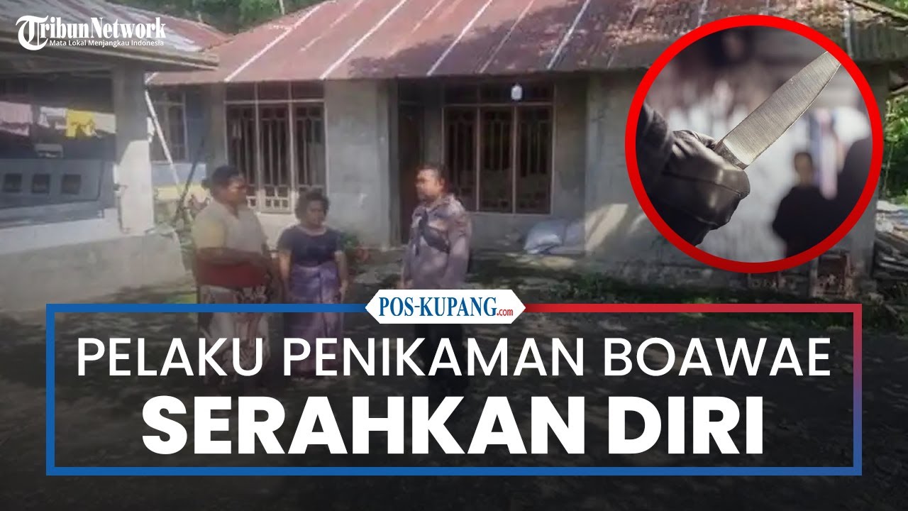 Pelaku Penikaman di Boawae Serahkan Diri ke Polsek, Diduga Dipicu Sengketa Tanah