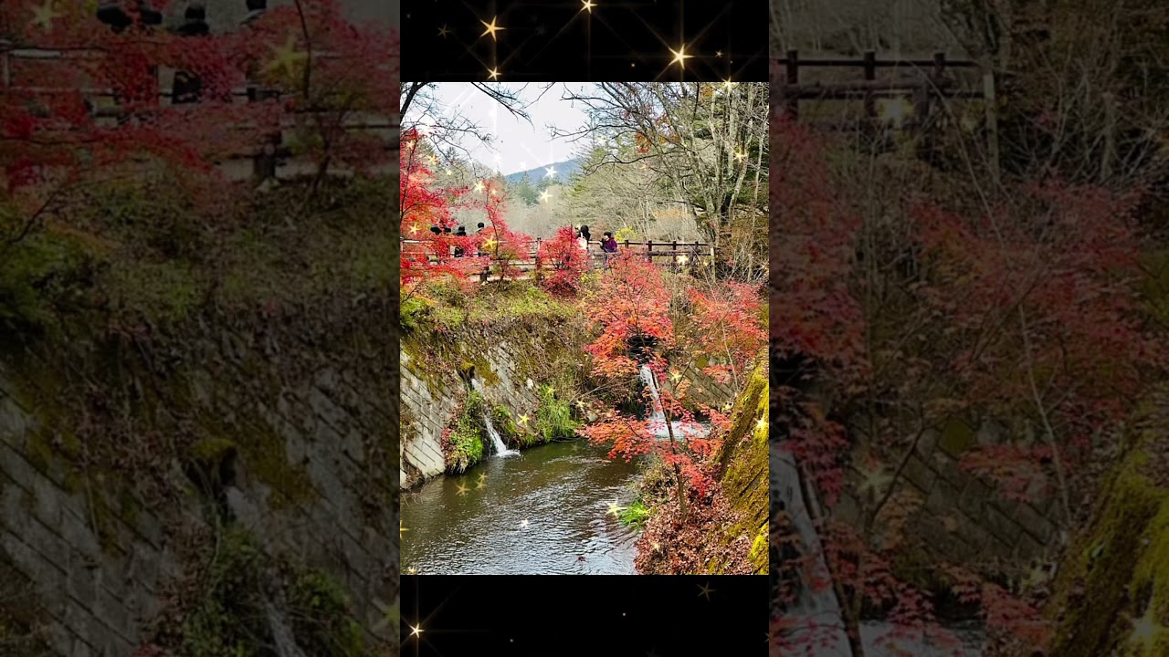 #2023autumn#karuisawa