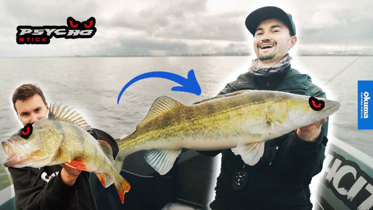 Turns Fish PSYCHO? 👀  | Meet the Psycho Stick!
