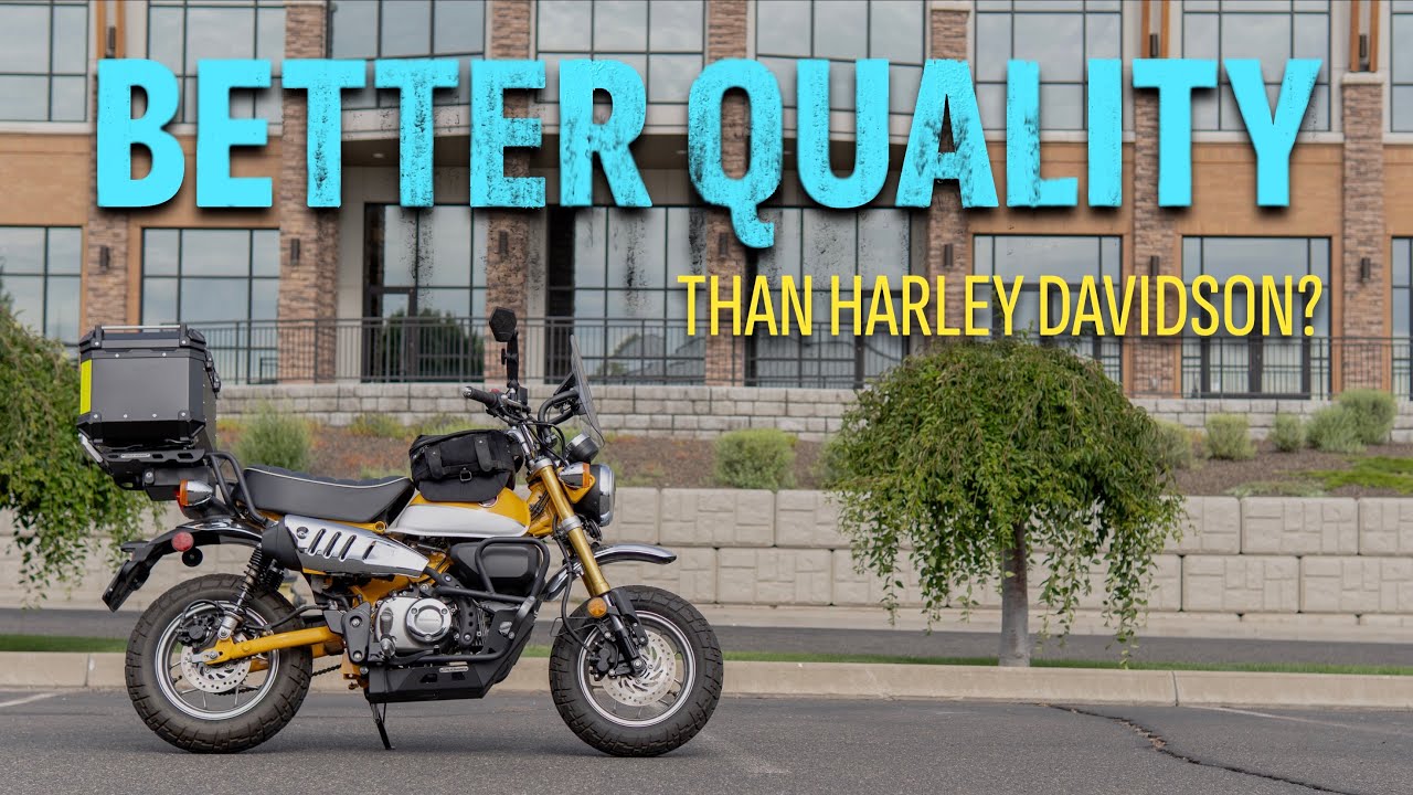 Honda Monkey Long Term Review - Owners Honest Opinion