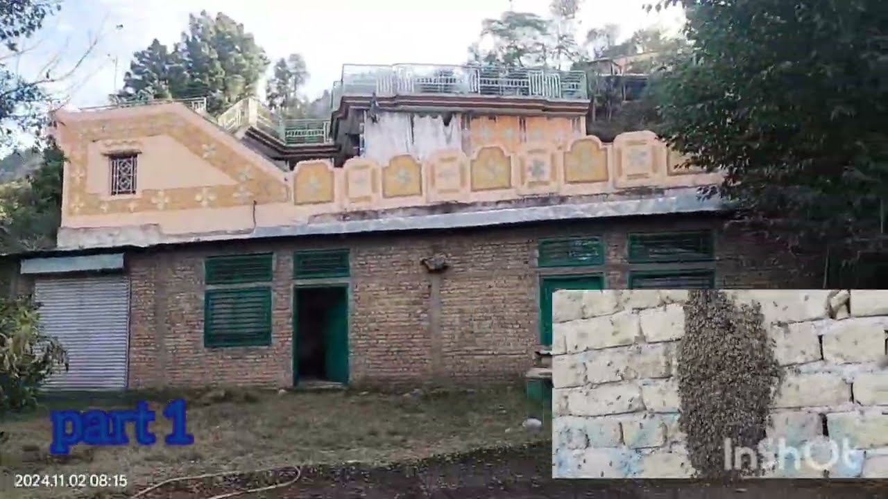 سرانہ کی اسکاؤٹ مکھی لے أئی ایک بڑا جھنڑ#beekeeper #beekeeping #savethebees
