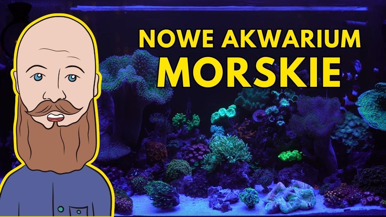 Akwarium morskie 200 litrów. Nowa ekspozycja w sklepie.