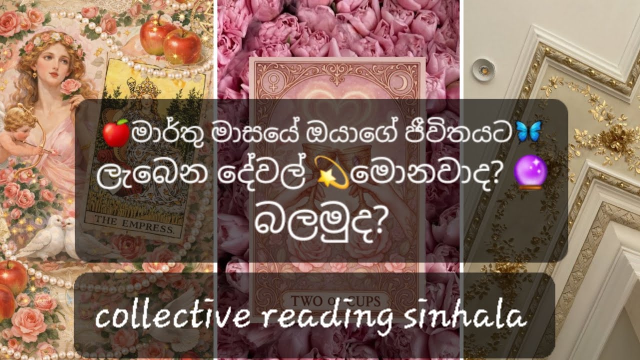 🍎 මාර්තු මාසයේ ඔයාගේ ජීවිතයට🦋 ලැබෙන දේවල් 💫 මොනවද? 🔮 බලමුද? | collective reading sinhala 🌹💜💛