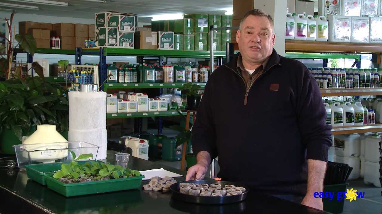 EASY GROW - Indoor Tobacco Growing Demonstration