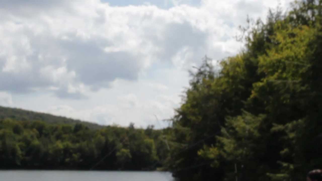 BALD EAGLE Trains Young One To Catch Fish