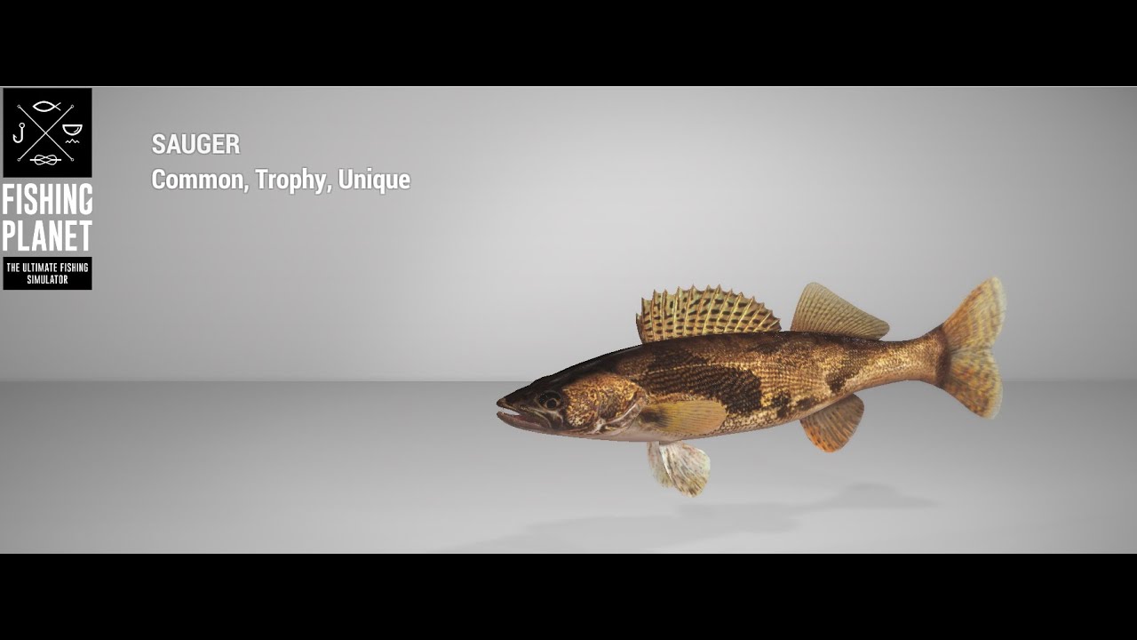 Fishing Planet - Emerald Lake - Trophy - Sauger - Feeder