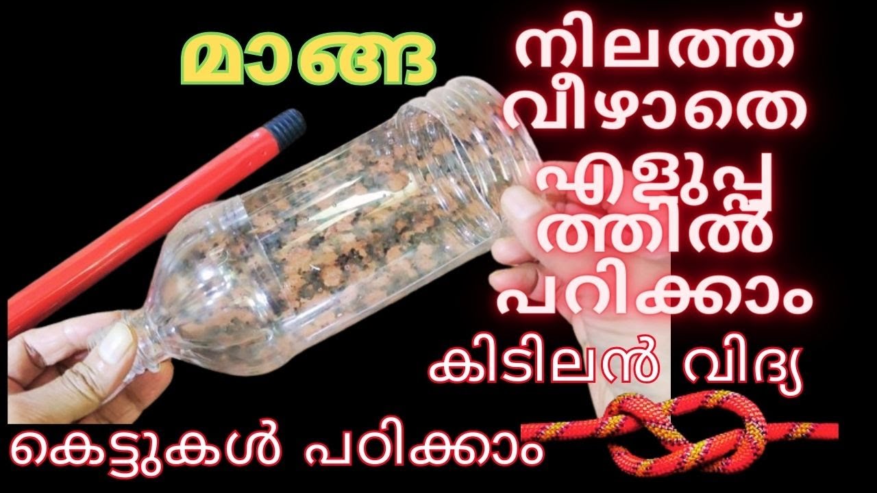 അഞ്ചു പൈസ ചെലവില്ലാതെ നിലത്ത് വീഴാതെ മാങ്ങ പറിക്കാം| mango picker tool with plastic bottle|Tips