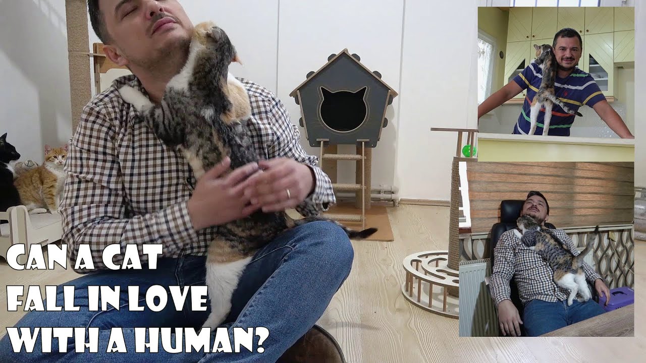 Кошка, полюбившая своего спасителя, с любовью обнимала этого человека до последнего дня своей жизни.