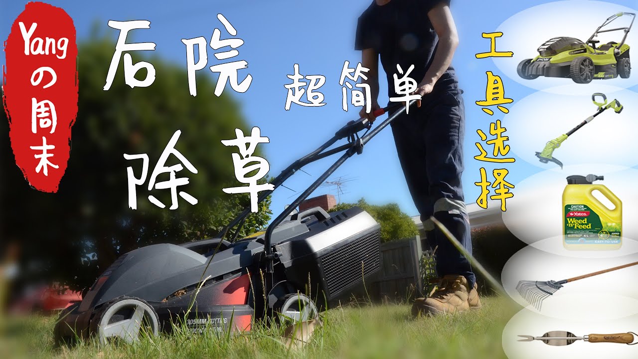 后院草坪打理，修剪草坪，消除杂草，干活的周末｜ #HelloEva #Eva说