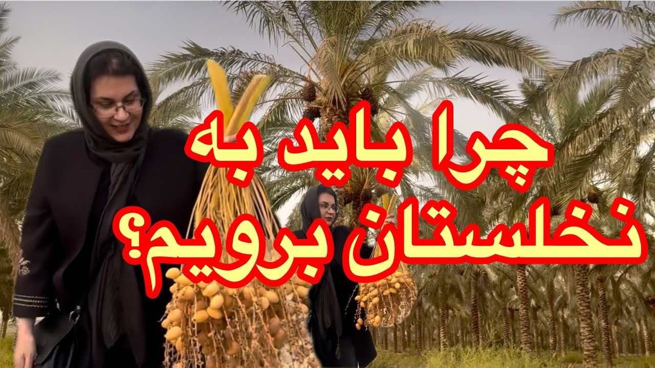 از رویا تا واقعیت#ولاگ_روزمرگی#این نخلستان زندگی منو عوض کرد😮🙏🏻