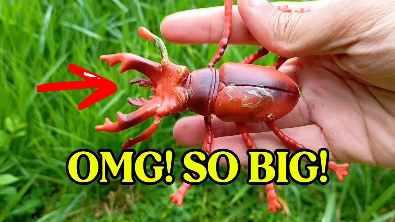 I Found a GIANT MONSTER BEETLE in the Wild grass! 😱🦗 Toy Hunting Adventure