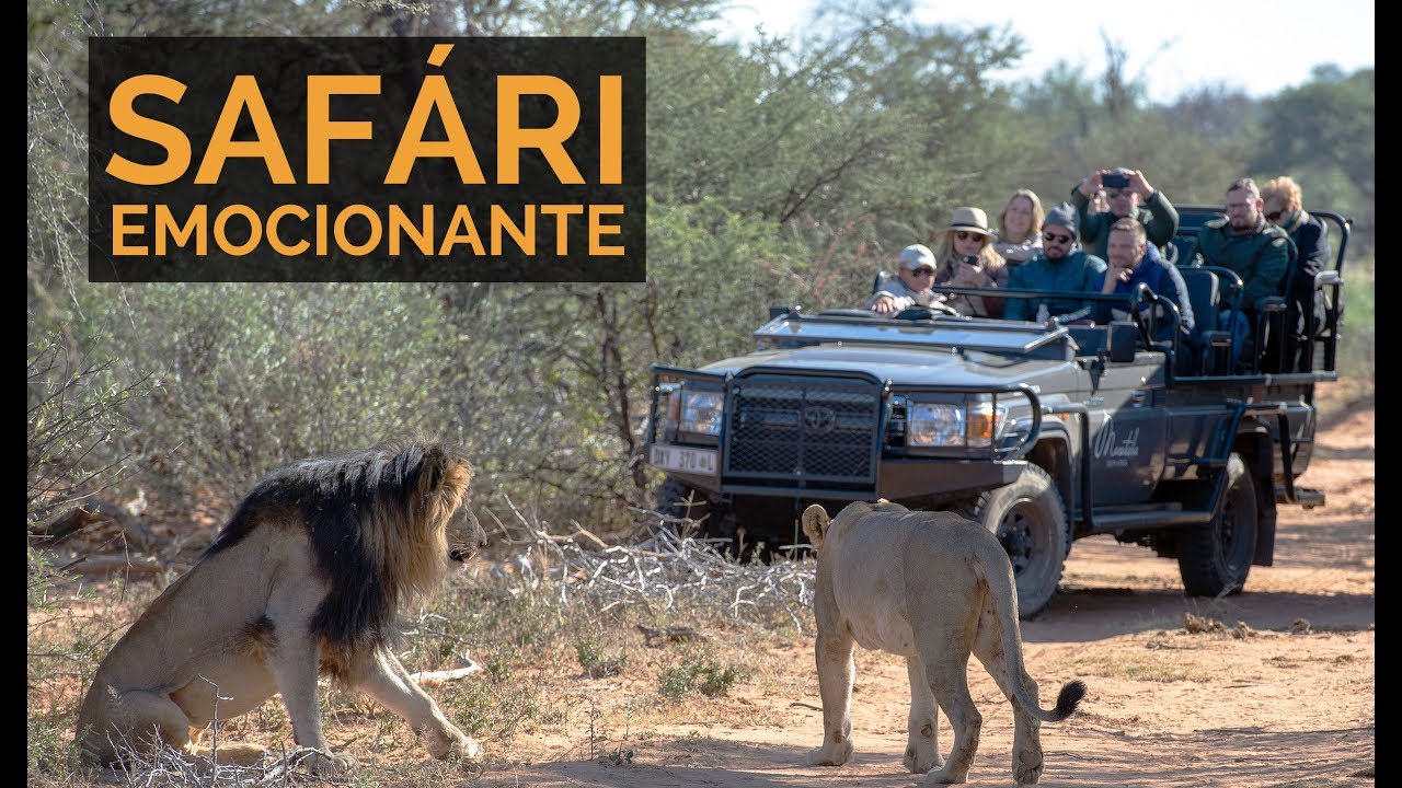 SAFÁRI IMPERDÍVEL NA ÁFRICA DO SUL - Carioca NoMundo Experience - Parte 2