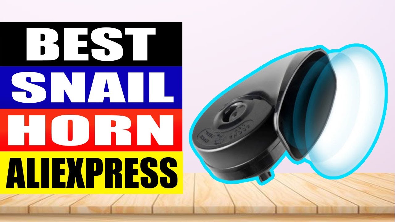 TOP 4 Best Snail Horn Review 2024