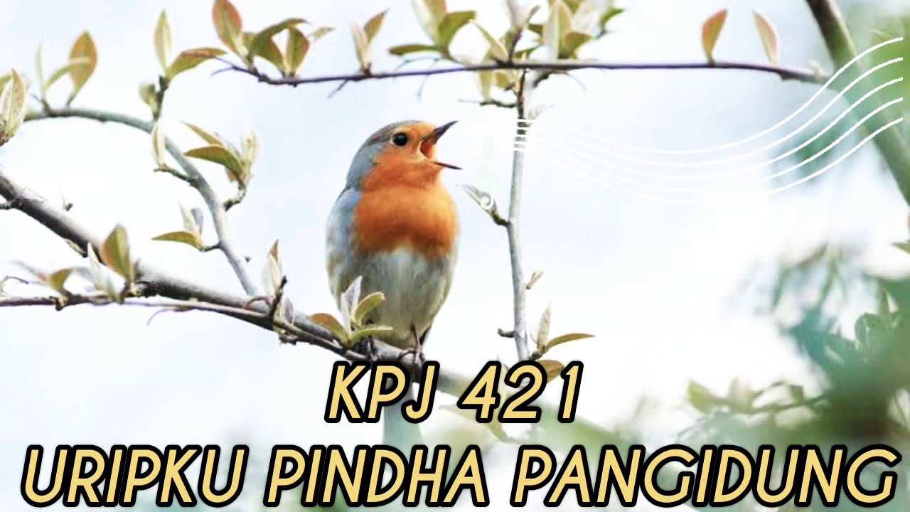 KPJ 421 