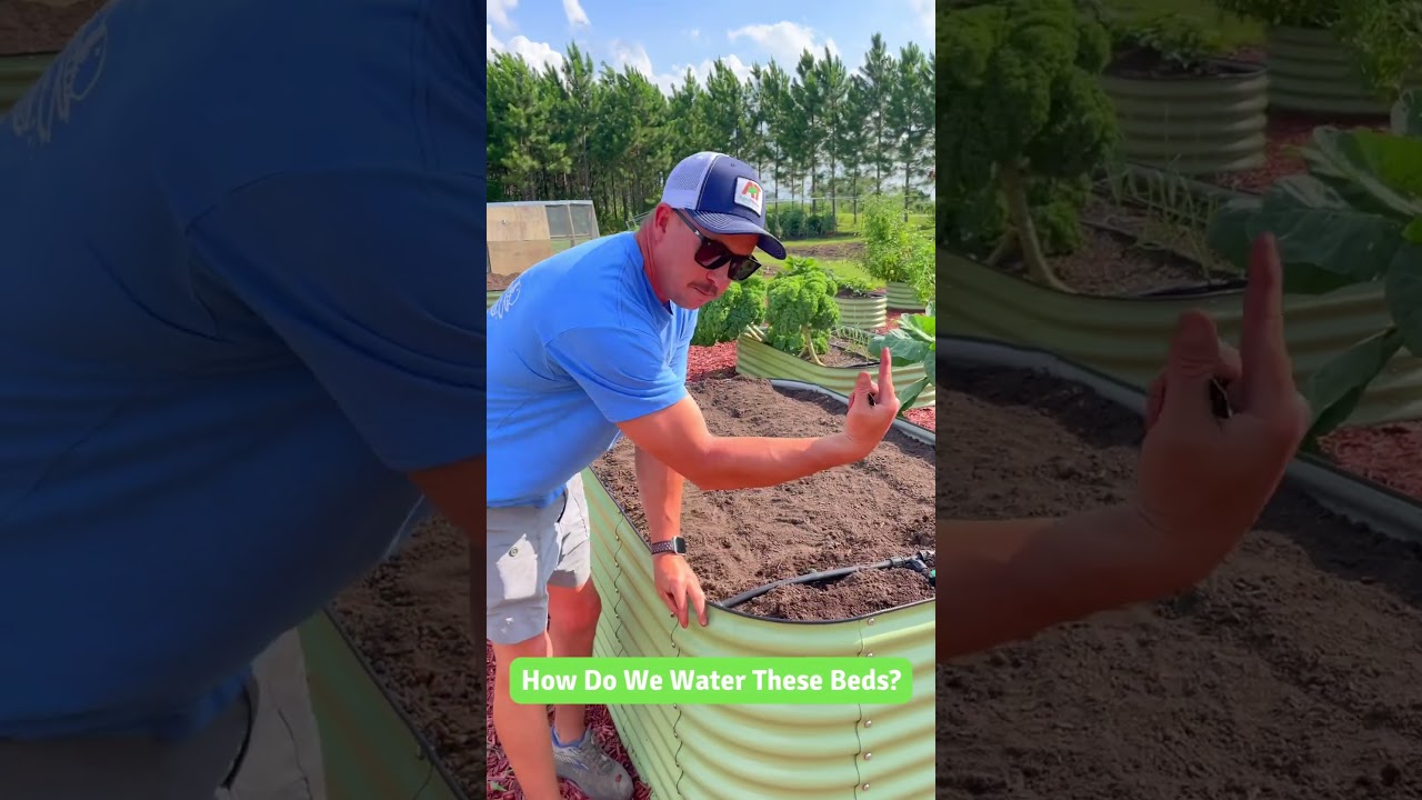 The Easy Way to Water the Garden! 💦