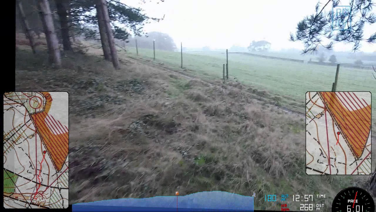West Midlands Orienteering League 2017 - Badgerslade (Cannock Chase)