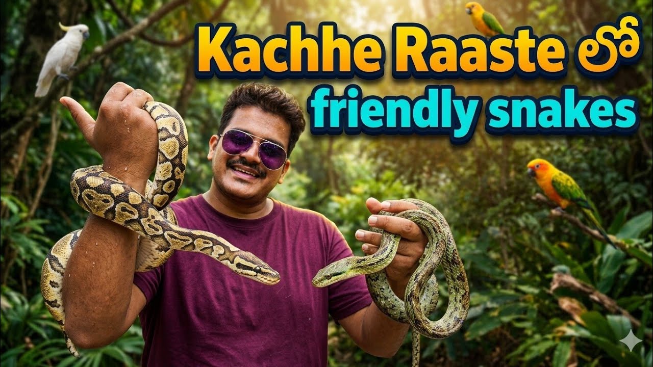 Kacche Raaste | Adventure park in Hyderabad | #hyderabad #python #adventure #reptiles 