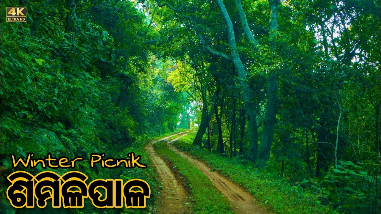 SIMILIPAL NATIONAL PARK ||Barehipani nature camp || Pure beauty of nature 🏞️ || ଓଡ଼ିଆ ରେ vlog ❤️