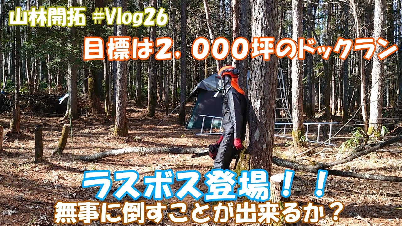 【山林開拓】＃Vlog.26　ラスボス登場！４０ｃｍオーバーに挑戦！！