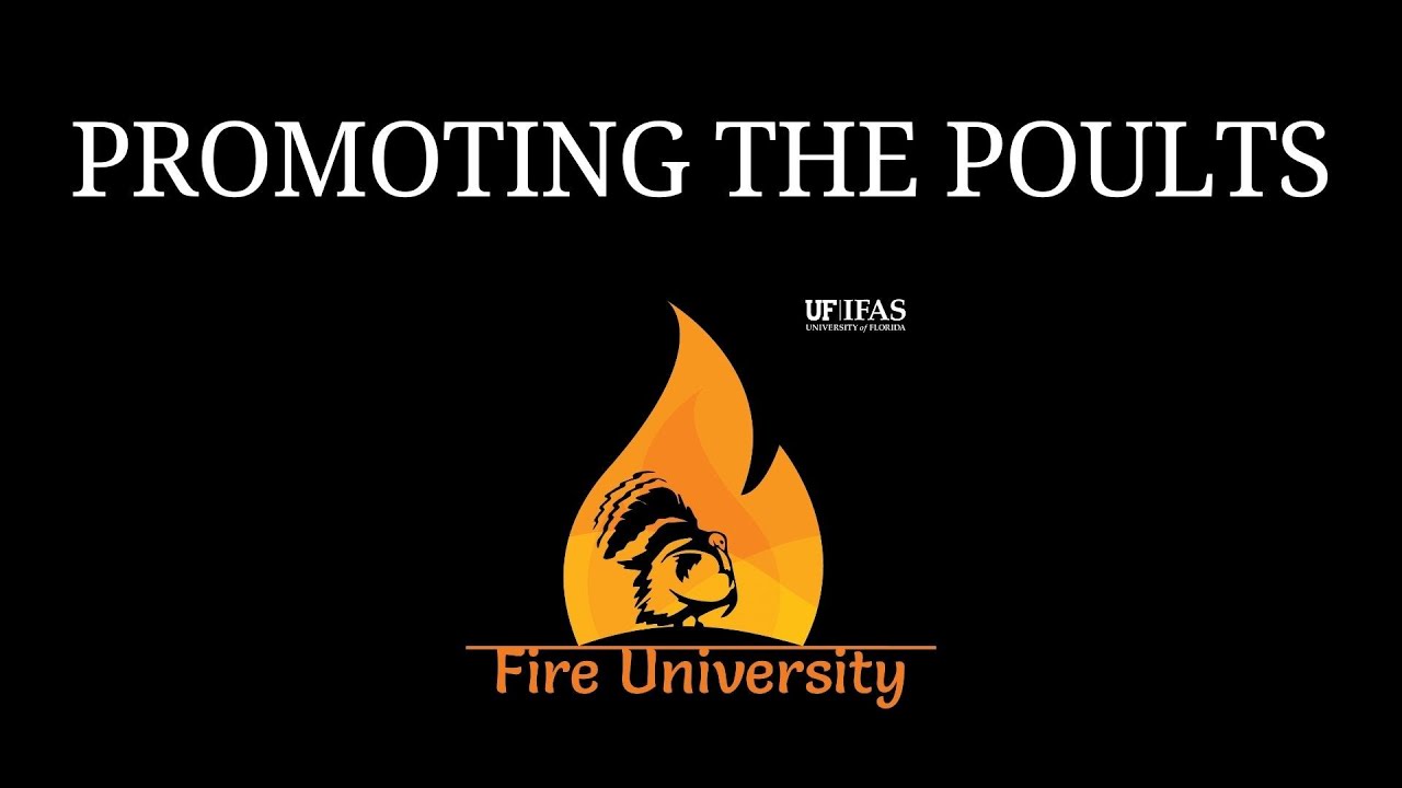 Fire University: Promoting the Poults: How to Create High-Quality Brooding Cover | Ep 41