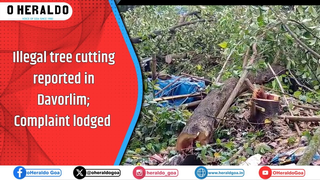Illegal tree cutting reported in Davorlim; Complaint lodged