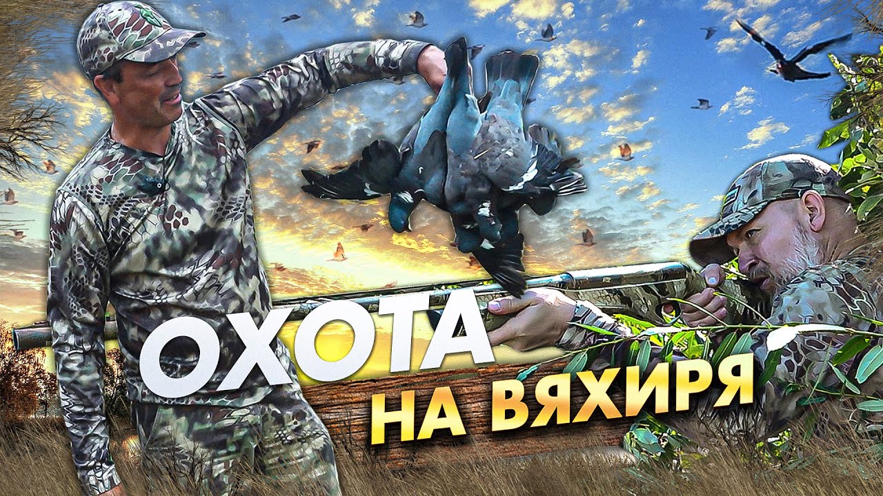 Охота на вяхиря,  ворон не пропускаем. Открытие жаркого сезона.